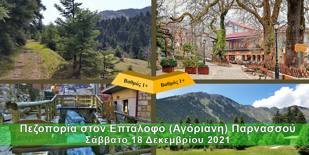 pezoporia-pauliani